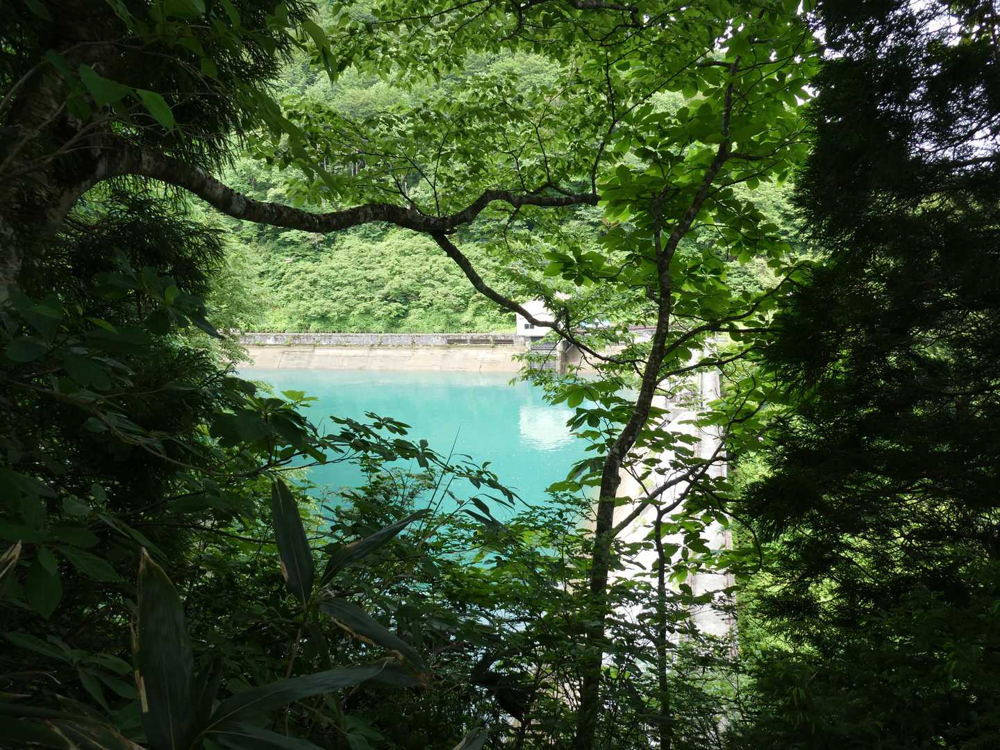 貯水池。
コバルトブルー🩵
綺麗だった✨