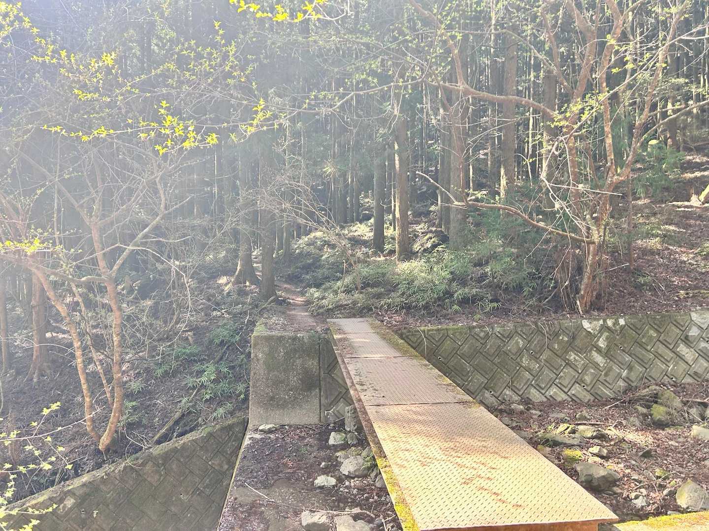 ⛩️駐車場にキレイなトイレあり

今回は武甲山には行かず、15丁目登山口手前の渡り橋から小持山へ👣
ではレッツゴ٩( 'ω' )و