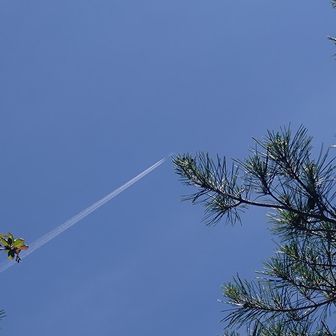 ✈️雲