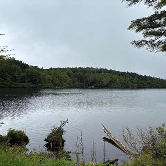 白駒の池