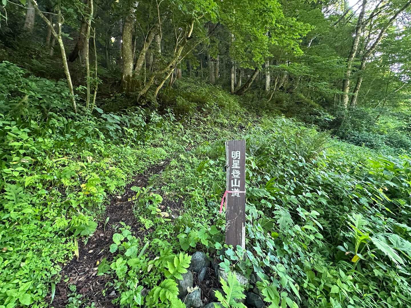 橋を渡ってすぐ登山口