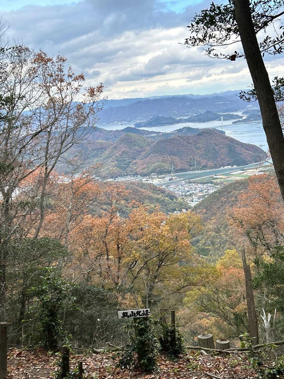 黄葉がまだ綺麗👌