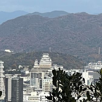 ここでも姫路城🏯