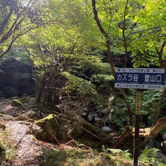 登山口まで戻って来た🙌