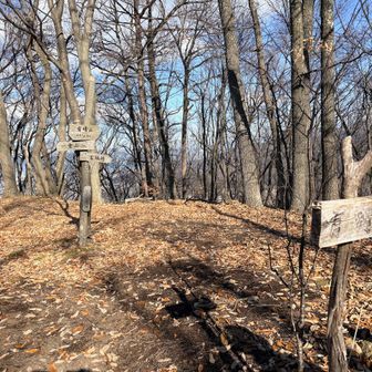 山頂はポカポカ