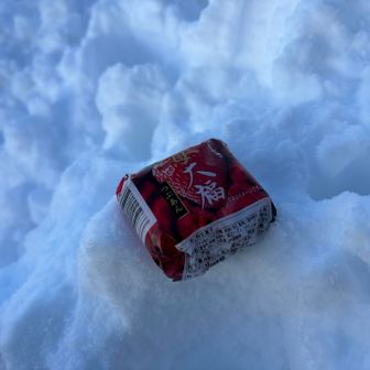 とりあえず大福ですわ！
雪山で凍っても美味しく食べれる物ランキングの上位に大福ってありましたの