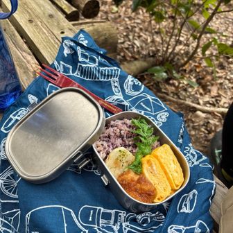 普賢岳見ながらおべんと食べる