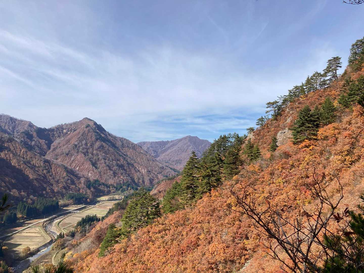 蒲生岳 周回コースの写真