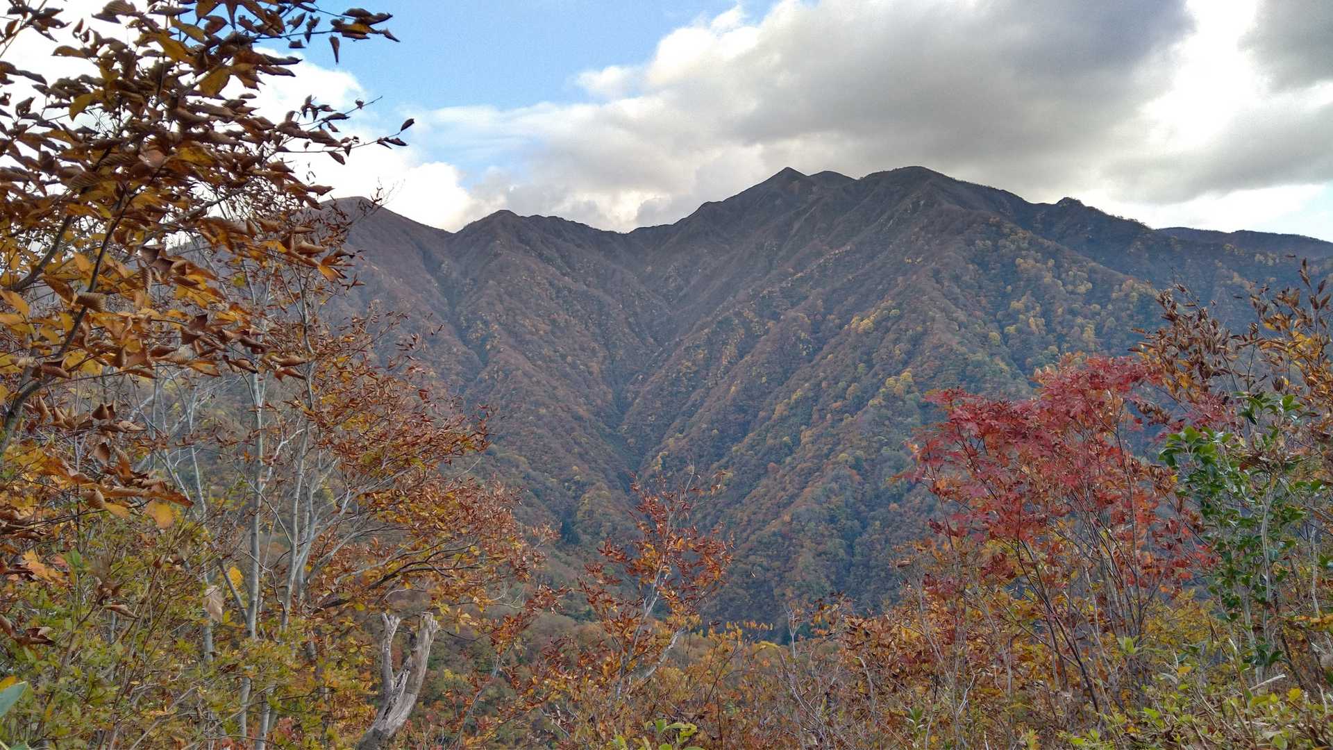 展望台からの粟ヶ岳全容