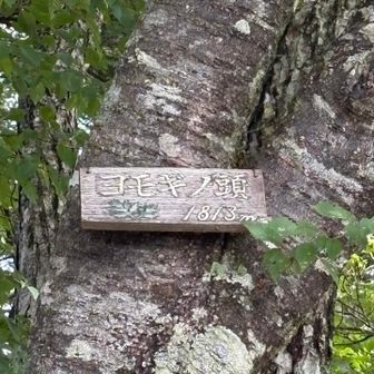 ヨモギノ頭⛰️ゲット