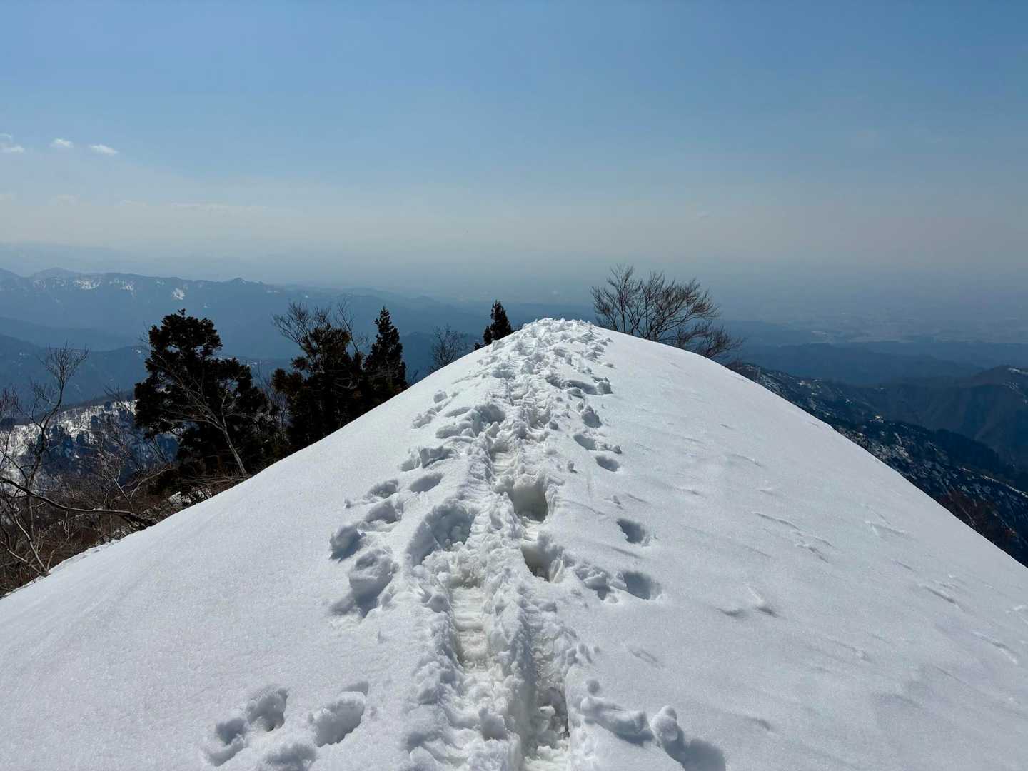 大倉山 往復コースの写真