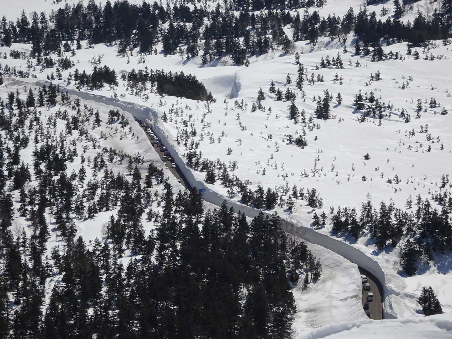 雪の回廊も開通したばかりで渋滞してます💦
今年は雪が多かったので見応えありです🥰