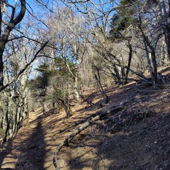 この辺の右手高台がグレーピーク木山