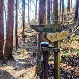 右へ。左は「陣馬の湯」。