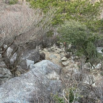 ハライドからの下りは急〜