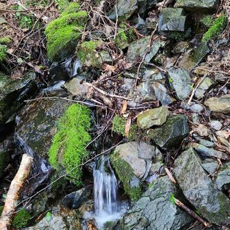 水場に到着
南アルプス天然水がとっても美味しい💧
今回はカルピスの原液を小ボトルに詰めてきたので、水場の度にカルピスをペットボトルに作って持ち歩いた。
我ながら良い案🤗