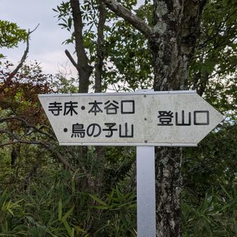 鳥子山に向かい周回します😊