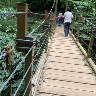 4号路で下山