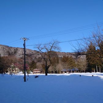 まるで三月中旬のような一日でした