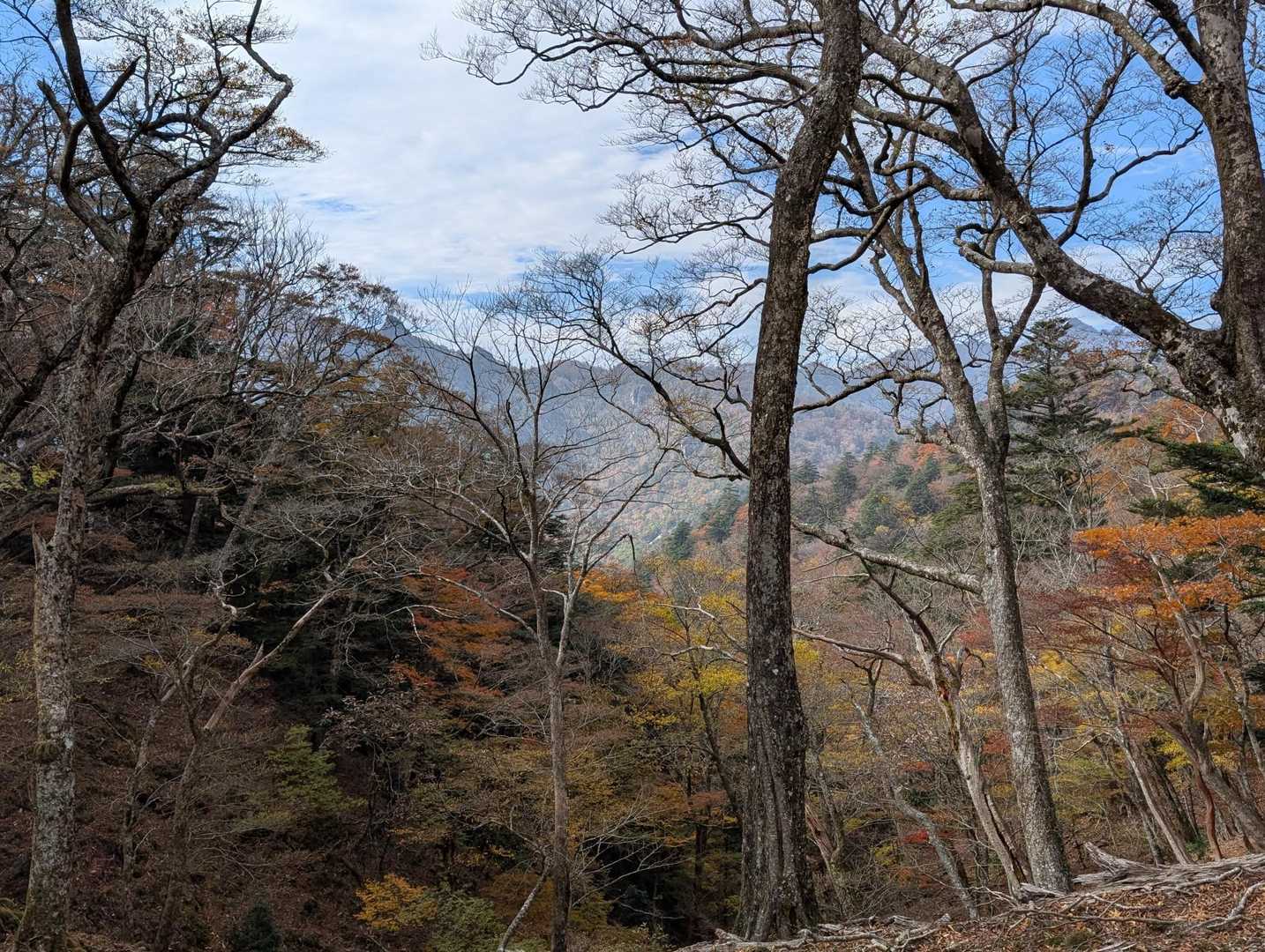 稜線に出ました