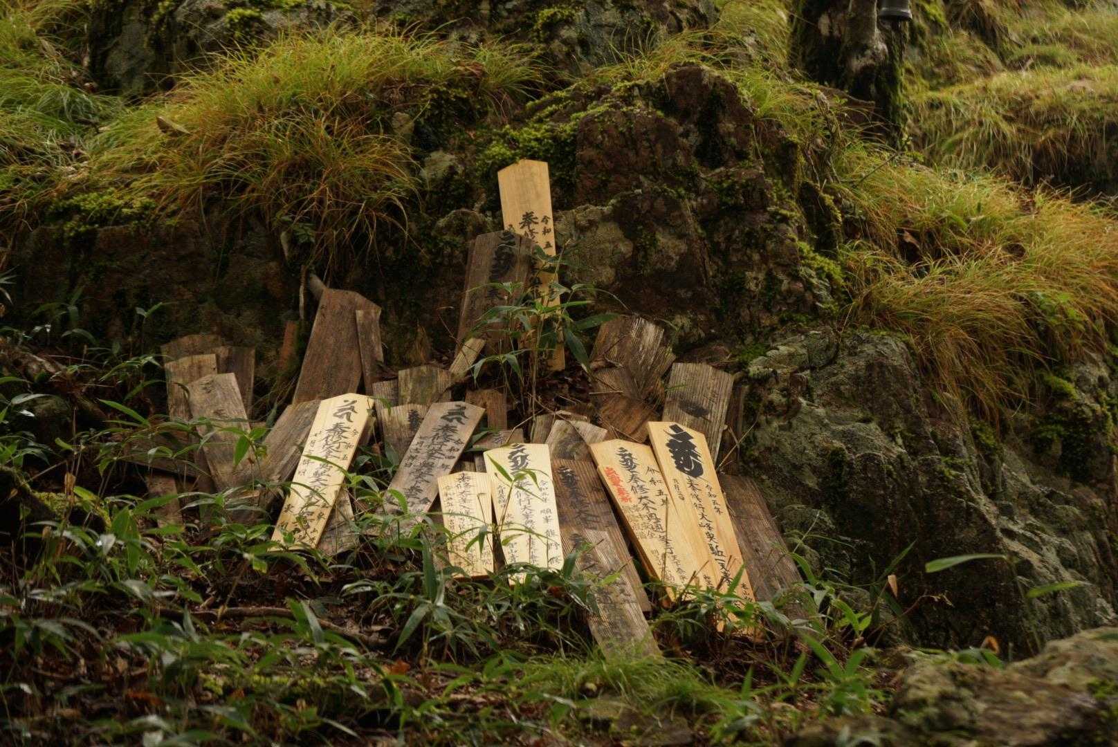 靡き  大峯奥駈道
この言葉聞くだけで、ワクワクする🤩