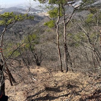 ここからまた激下り
はちゃめちゃな爆風がプラスされました
マジで落ち葉が体にビシバシとぶつかってきます🤣
もう帰りたくなってきました😇