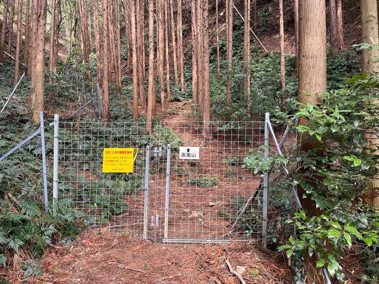 鹿よけフェンス🦌から