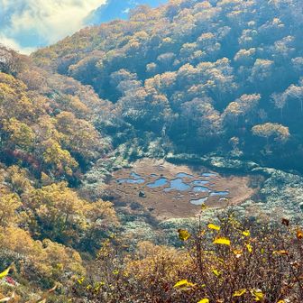 池塘と紅葉🍁を見下ろして、進みます。