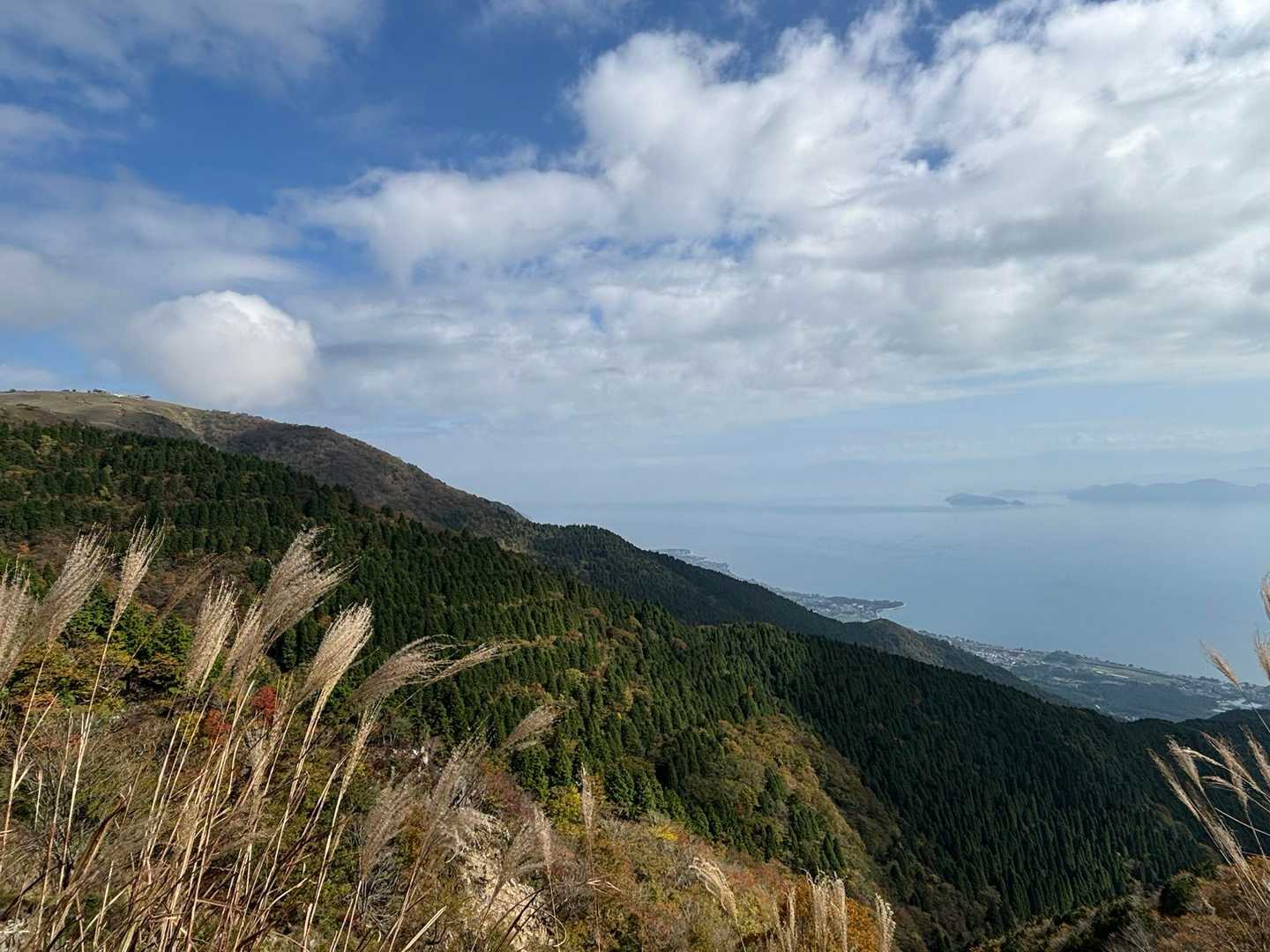 平バス停-アラキ峠-権現山-ホッケ山-小女郎峠-蓬莱山 往復コースの写真