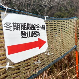 雪は全く無い… スキー場は休業中
スキー場を避け樹林帯を登るルート