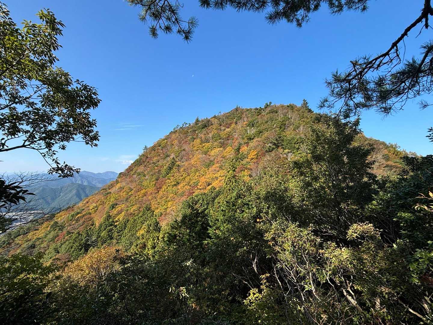 紅葉の写真載せれます