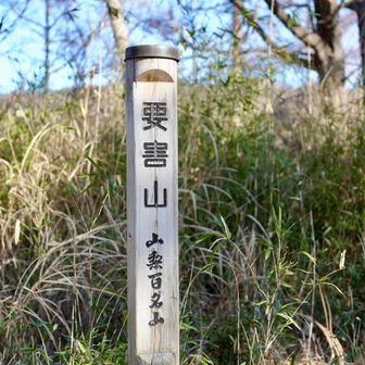要害山（ようがいさん）
山梨県甲府市にある標高約770mの山。戦国時代、武田信玄が生まれたとされる要害山城跡があり、天然の要害となる地形が山名の由来です。山頂付近には城跡の曲輪や石垣跡が残り、歴史を感じながら登山が楽しめます。甲府盆地や富士山の展望も魅力です。
