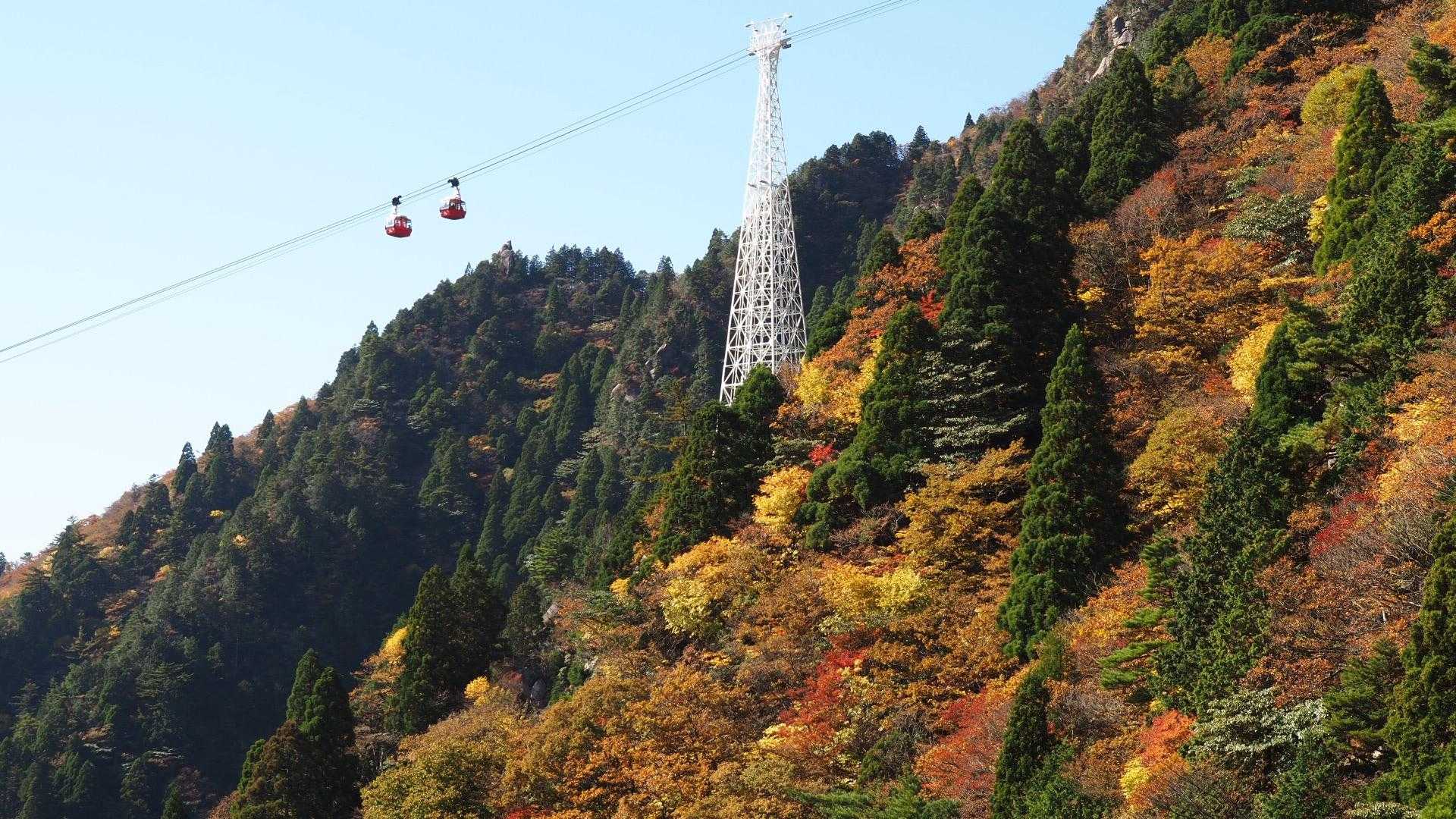 中登山口-武平峠-鎌ヶ岳-弥一ヶ岳 周回コースの写真