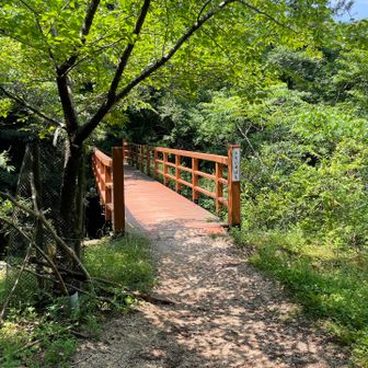 下山は鳥居道駐車場
