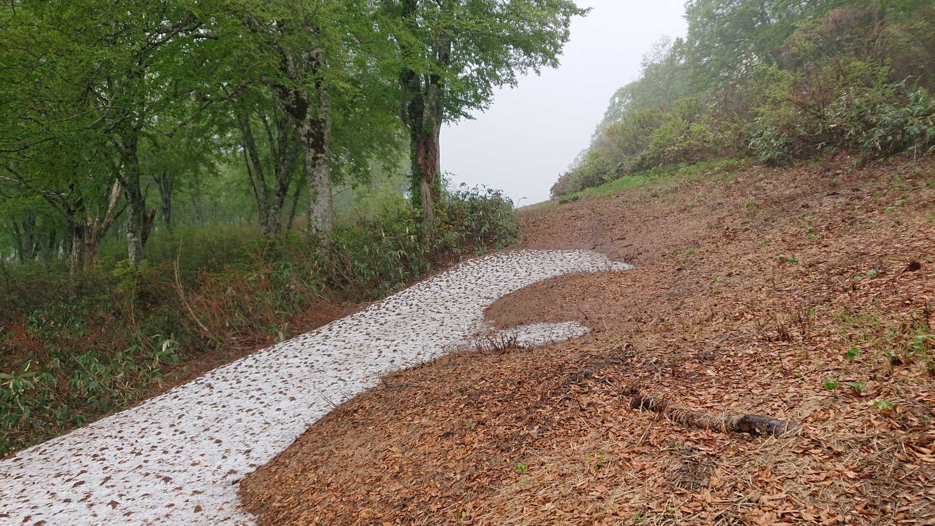 残雪が人の手の形🦾
◯◯現場か😎