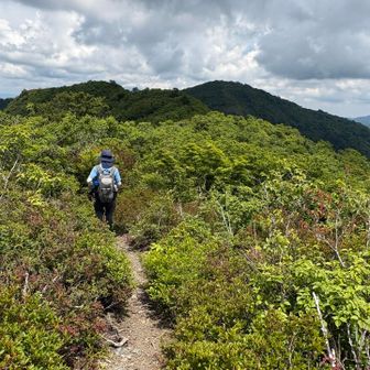 白倉岳からはようやく山道もハッキリして
歩きやすくなってきた