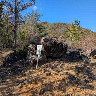 この山の見どころは、どんぐりではありません！！岩ですっ！！