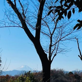 谷津仙元富士からも富士山