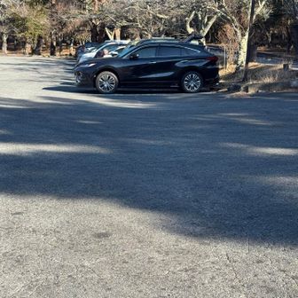 帰ってきたら駐車場は8割くらいでした。