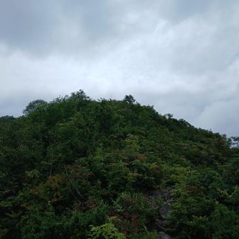 西峰まであと一息