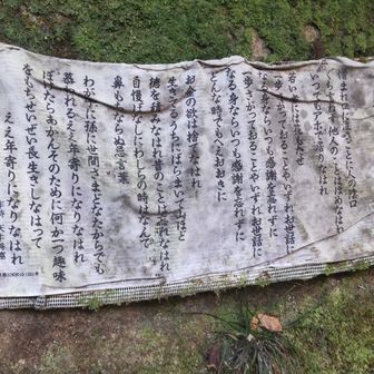 おもろいわ😆
お暇なら拡大して読んでくださいね

※最後の写真に追記あり