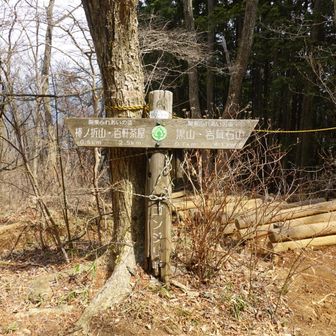 帰りのゴンジリ峠。古い看板