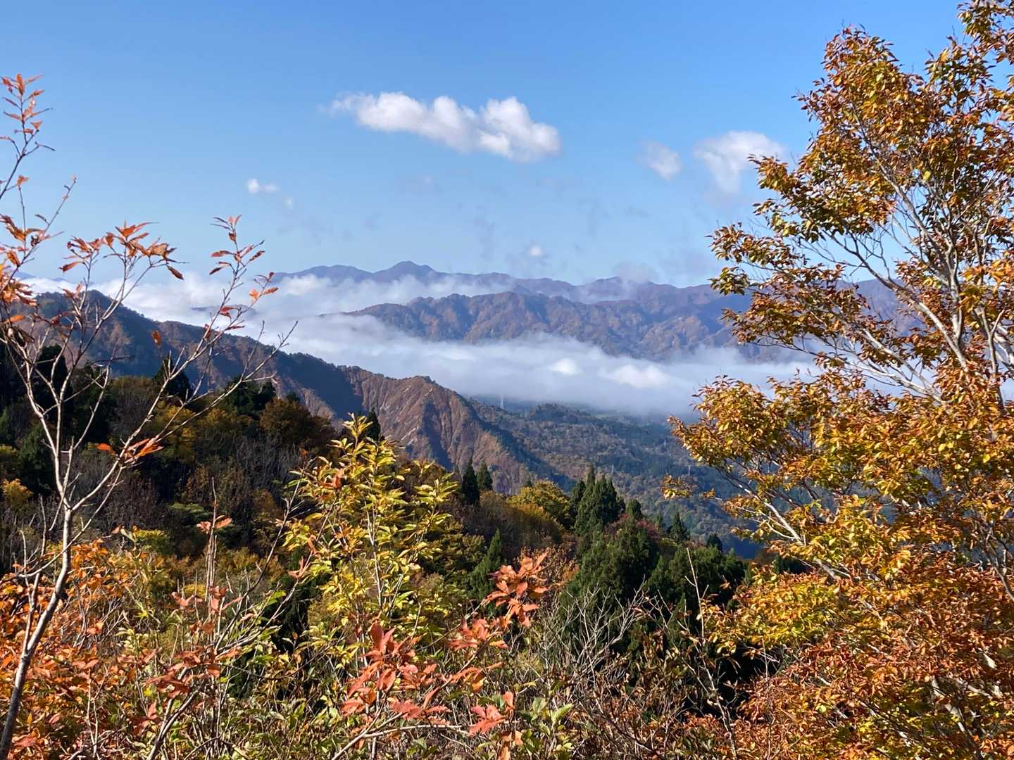 焼峰山（滝谷登山口）の写真