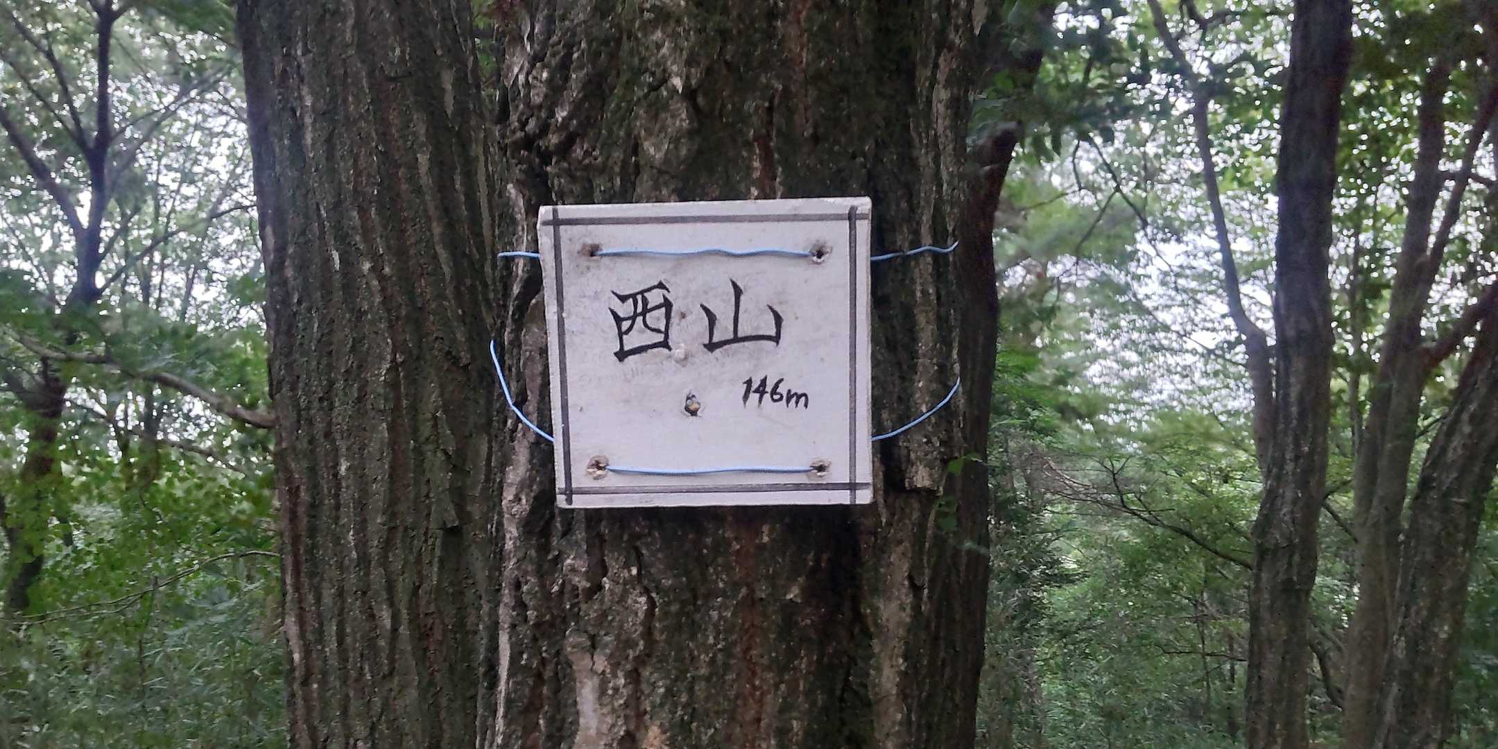 金山 往復コースの写真
