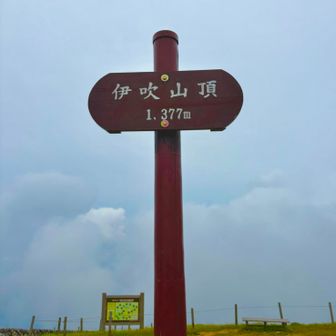 伊吹山頂🔺