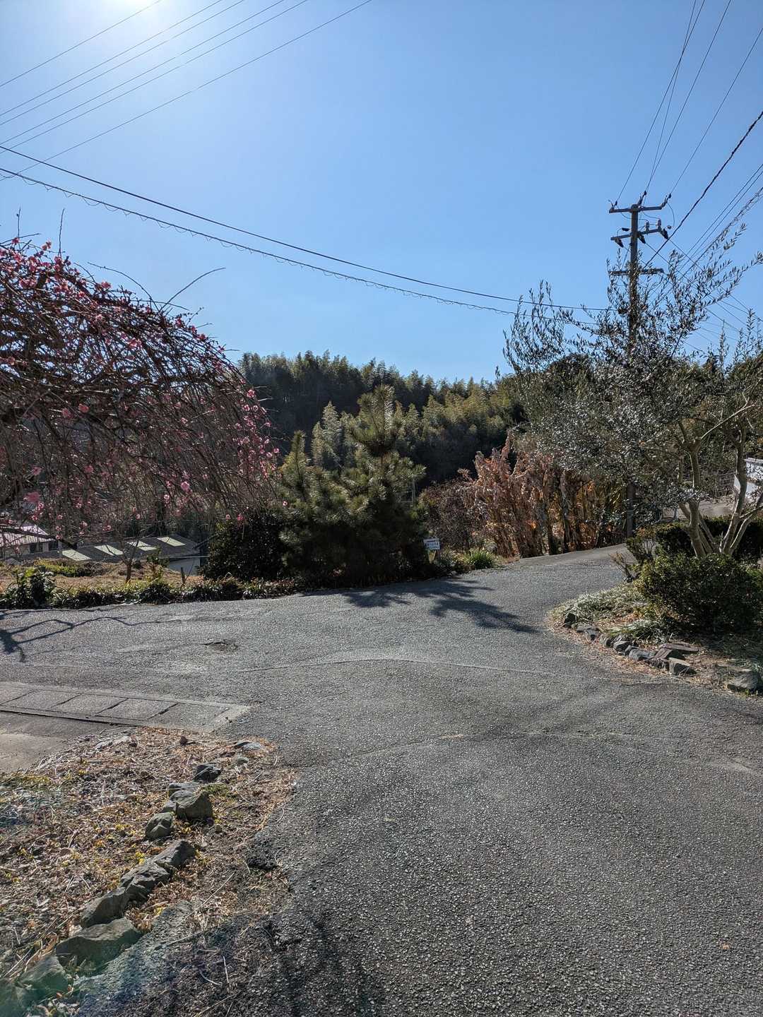 分岐
分岐には全部シールや標識があって迷う事ないです😊