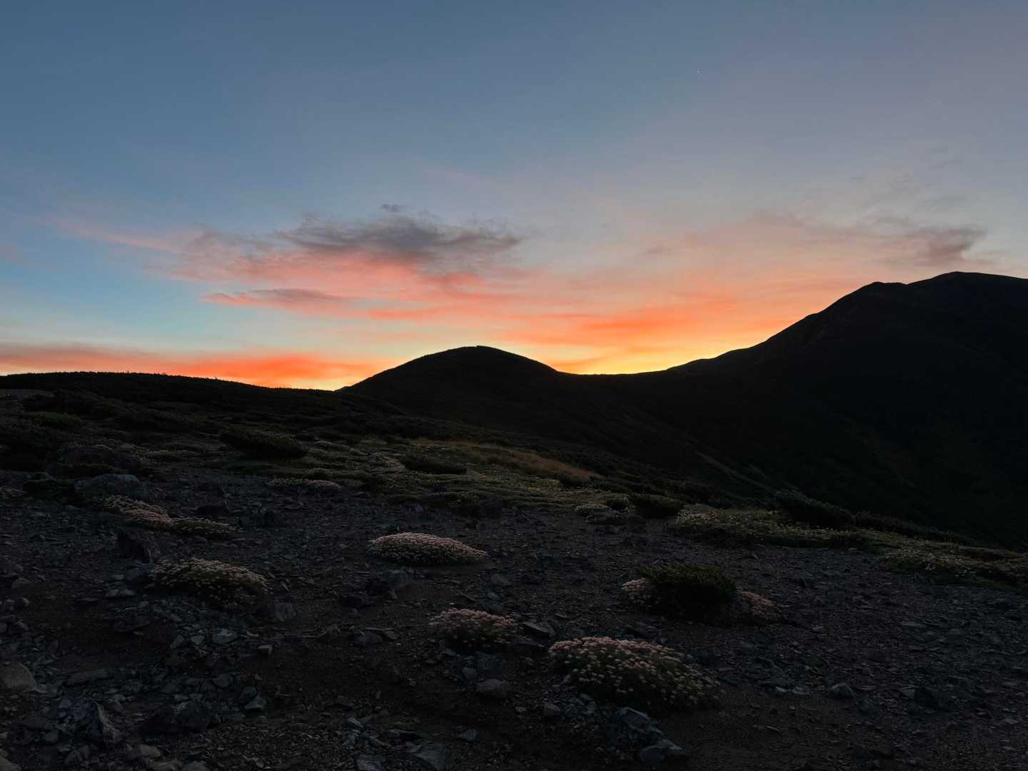 薬師岳登山口-五光岩ベンチ-アラスカ庭園-日本庭園-黒部五 周回コースの写真