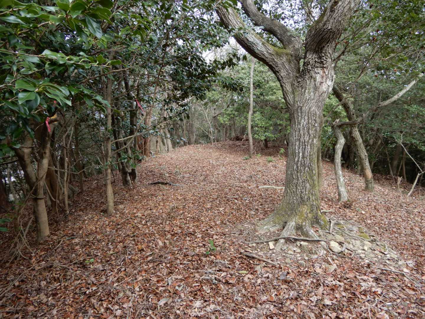 城山北峰（384ｍ）