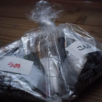 最終日の朝食の🍙を頂きました😋　　

スタッフの方も感じよく、何よりブログで毎日の様子や丸太橋の事も解り大変助かり有り難うございました🙇
