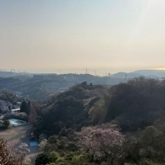 田浦の海ガスって残念。